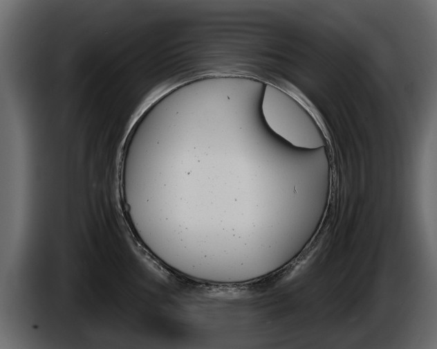 X0000086011002200703230907