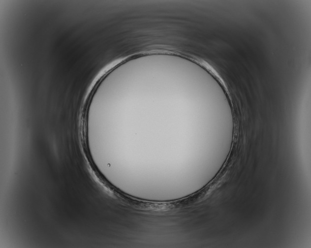X0000086011003200703230907