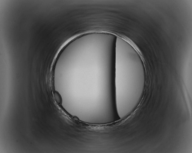 X0000086011004200703230907