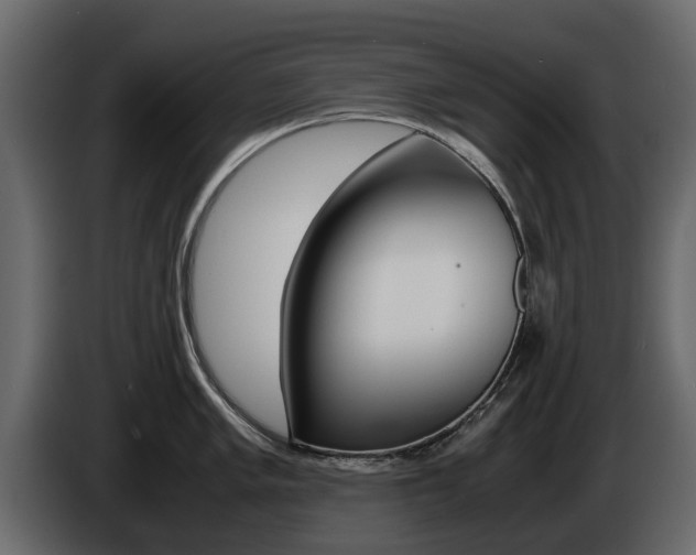 X0000086011005200703230907