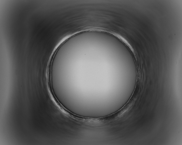 X0000086011007200703230907