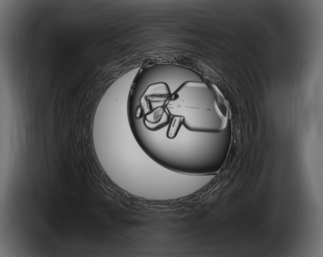 X0000086011010200703230906
