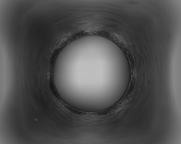 X0000086011012200703230906