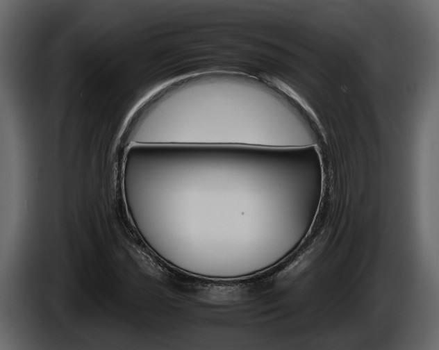 X0000086011021200703230906