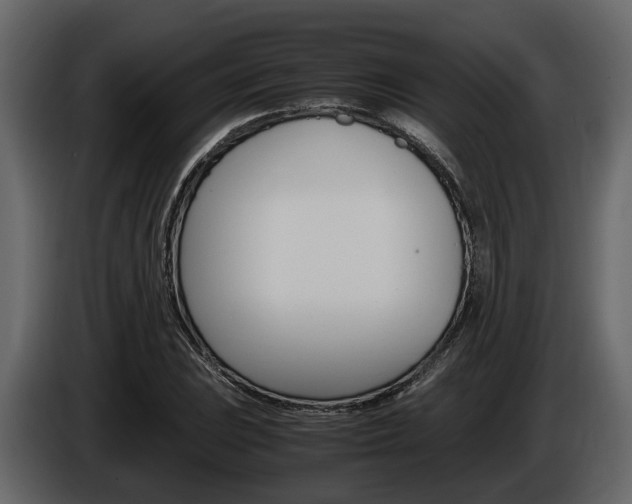 X0000086011023200703230906