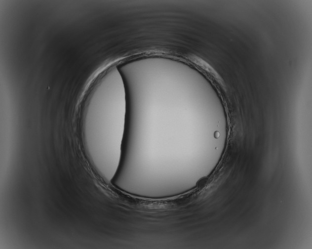 X0000086011027200703230906