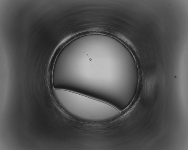 X0000086011029200703230906