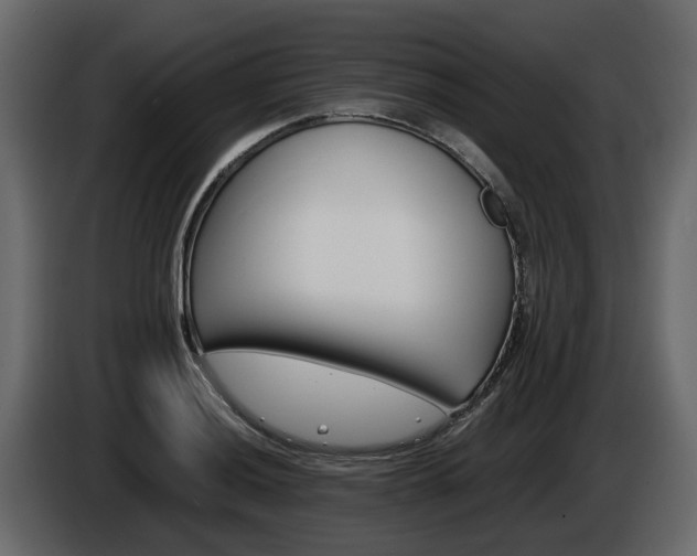 X0000086011036200703230906