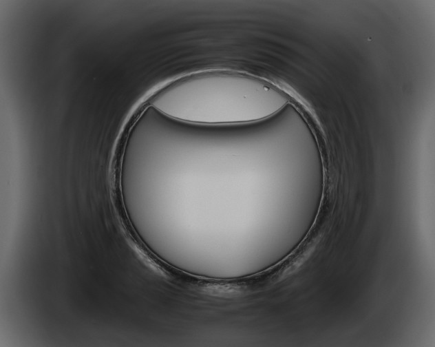 X0000086011037200703230906