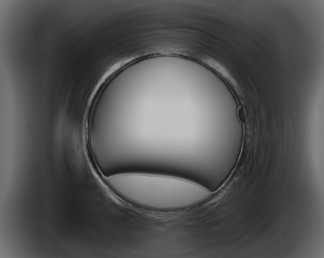 X0000086011040200703230906