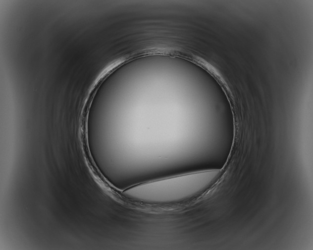 X0000086011042200703230906