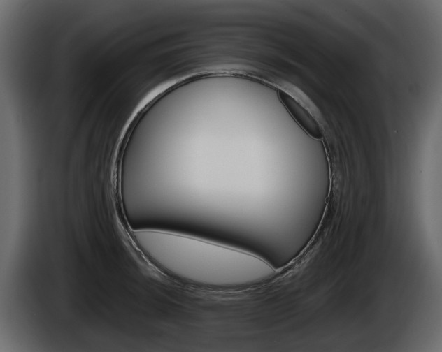X0000086011044200703230906