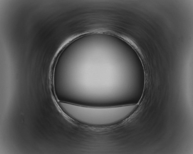 X0000086011046200703230906