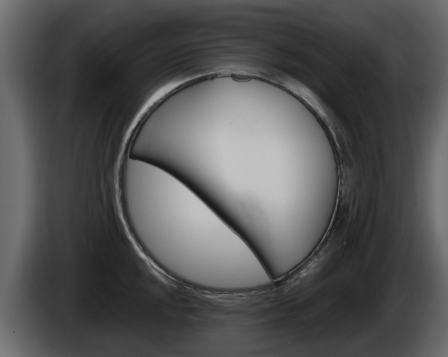 X0000086011048200703230906