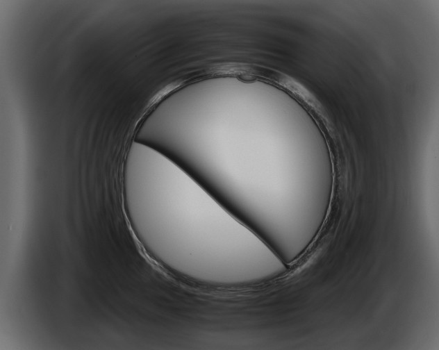 X0000086011049200703230906