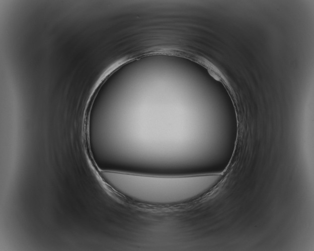X0000086011050200703230906