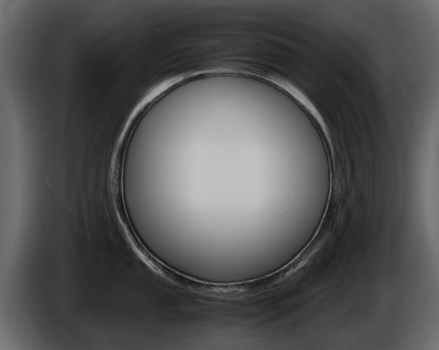 X0000086011053200703230907