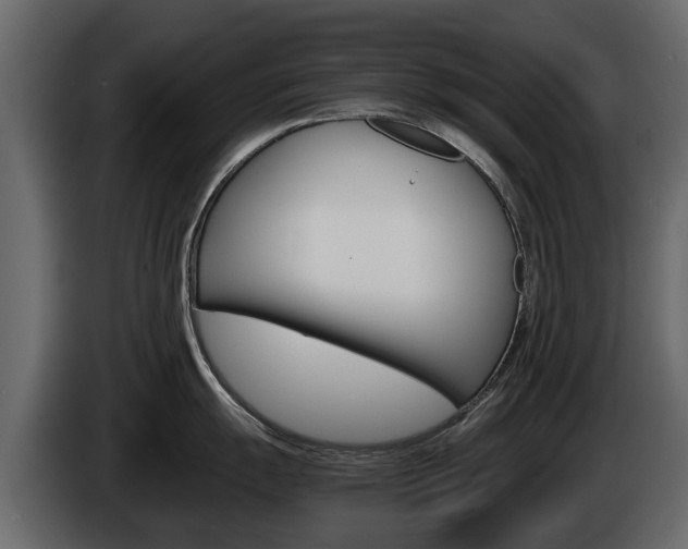 X0000086011055200703230907