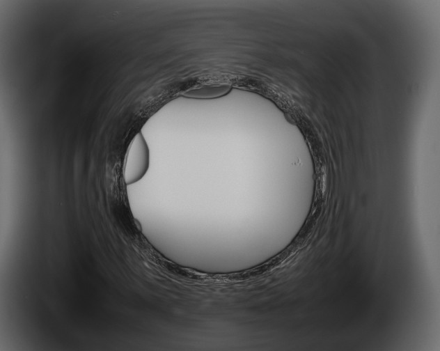 X0000086011059200703230906