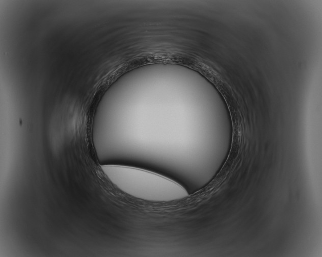 X0000086011060200703230906