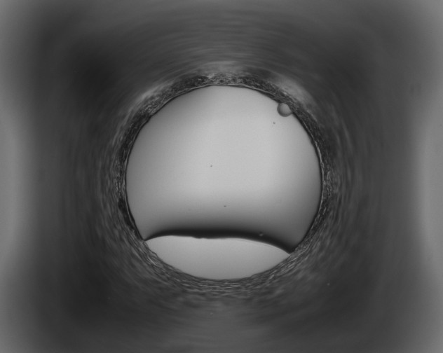 X0000086011063200703230906