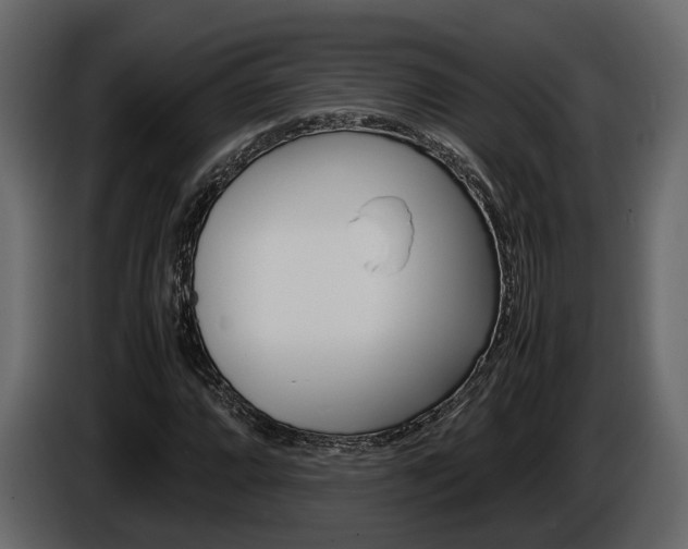 X0000086011064200703230906
