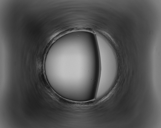 X0000086011065200703230906