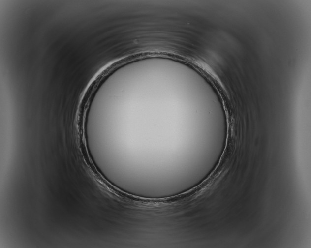 X0000086011068200703230906