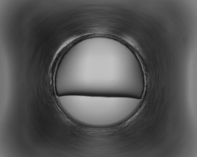 X0000086011070200703230906