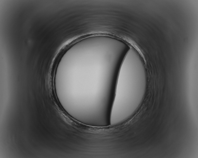 X0000086011072200703230906