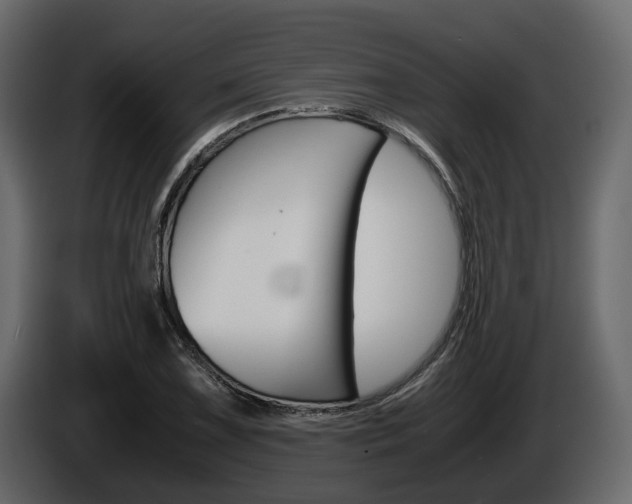 X0000086011075200703230906
