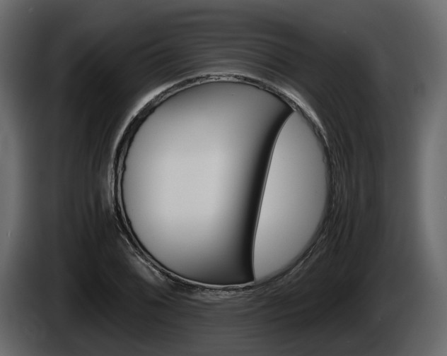 X0000086011076200703230906