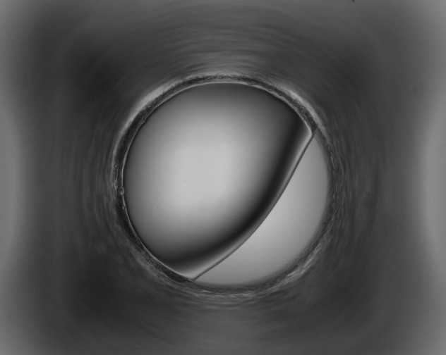 X0000086011077200703230906