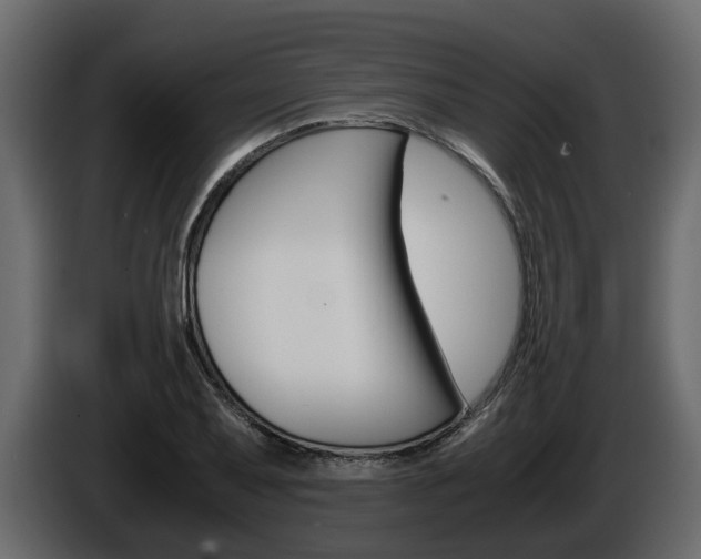 X0000086011079200703230906