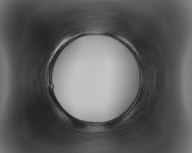 X0000086011083200703230906