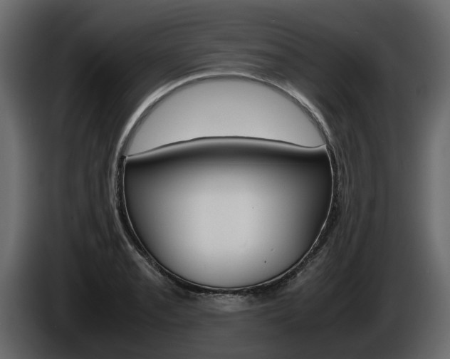 X0000086011085200703230905