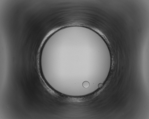 X0000086011086200703230905