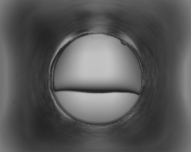 X0000086011087200703230905