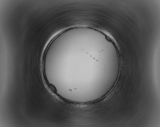 X0000086011088200703230905