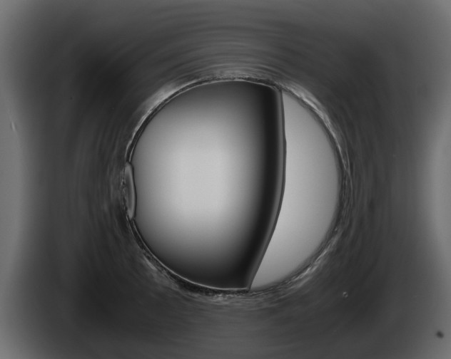 X0000086011089200703230905