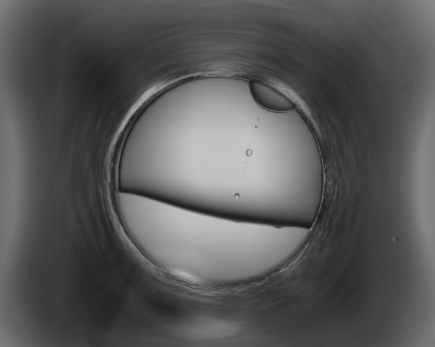 X0000086011091200703230905