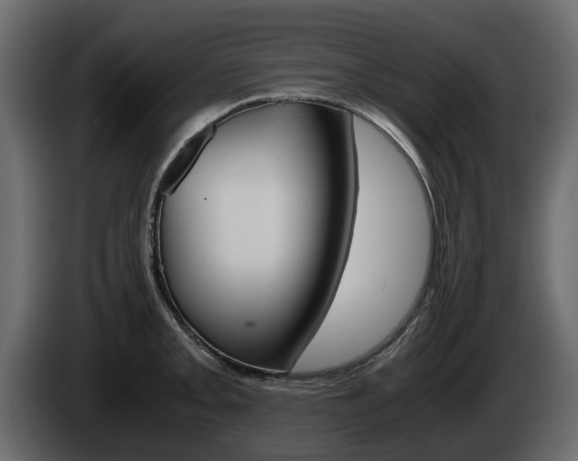 X0000086011093200703230905