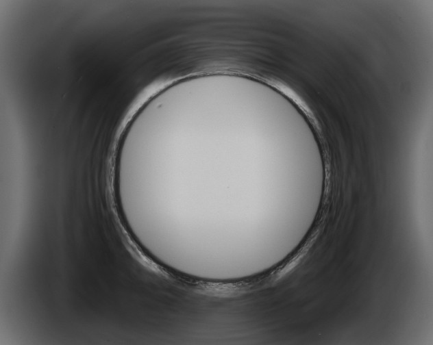 X0000086011094200703230905