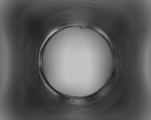 X0000086011095200703230905