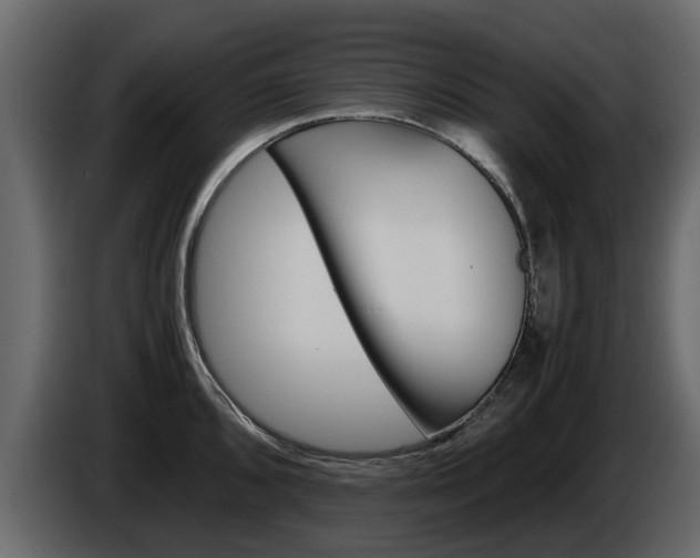 X0000086011096200703230905