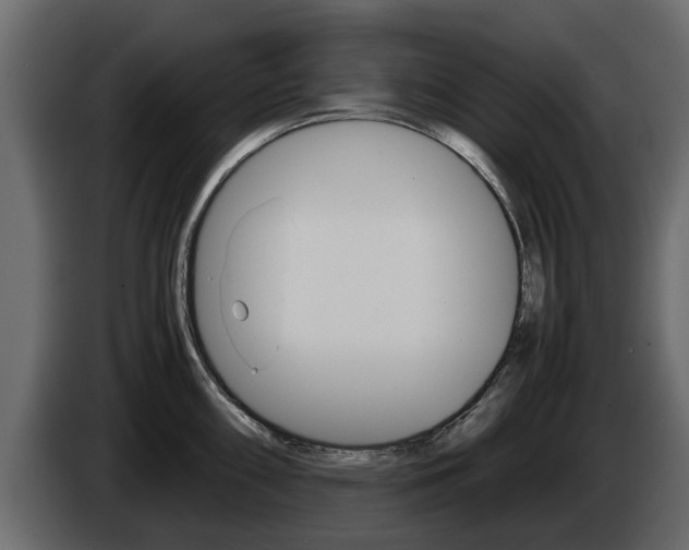 X0000086011098200703230905