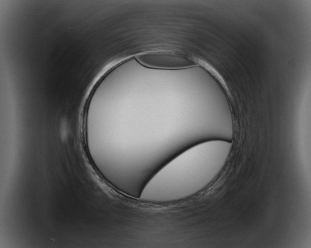 X0000086011099200703230905