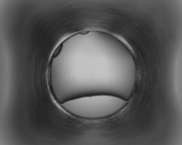 X0000086011100200703230905