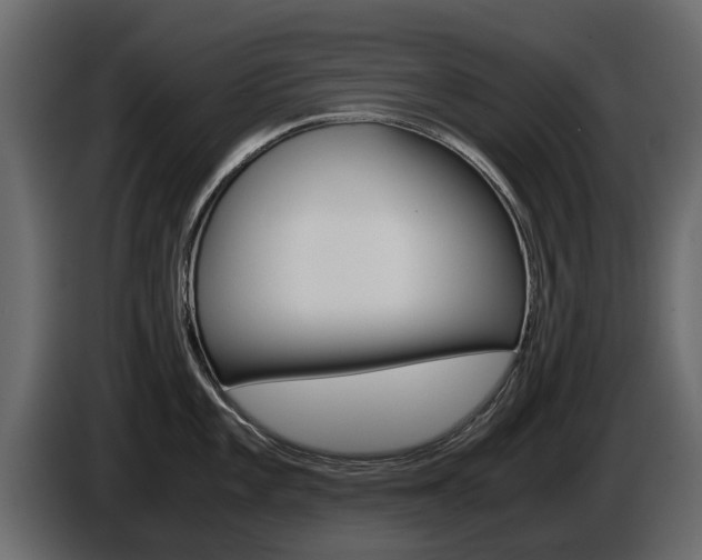X0000086011101200703230905