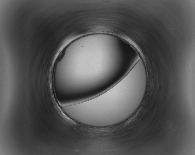 X0000086011102200703230905